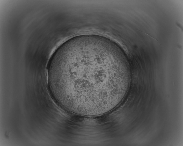 X0000093111509200710171211