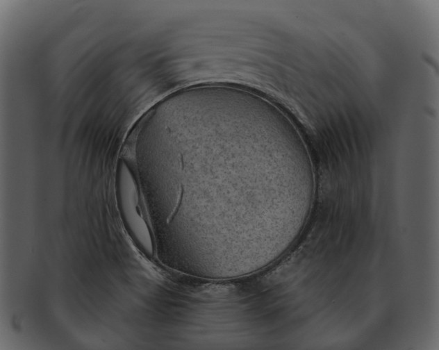 X0000093111513200710171211