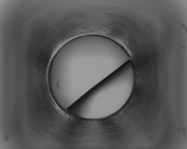 X0000093111516200710171211