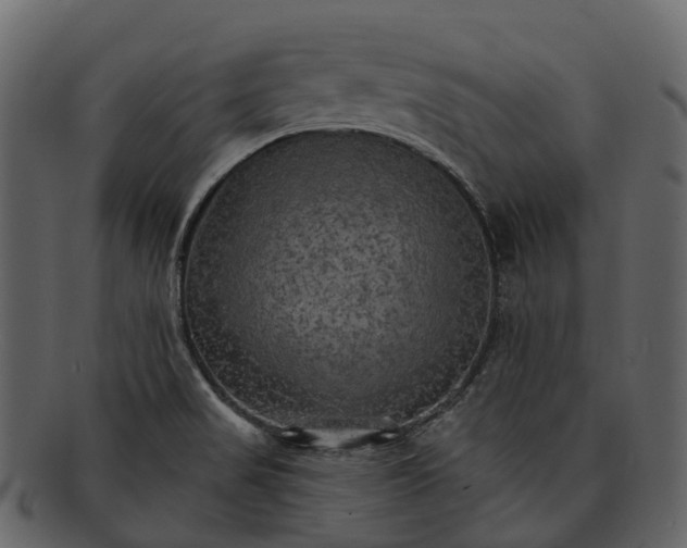 X0000093111517200710171211