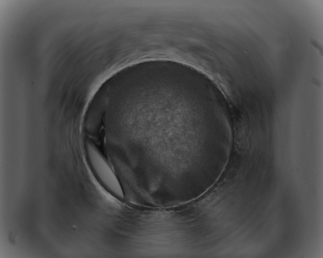 X0000093111519200710171212