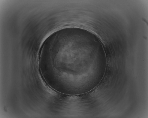 X0000093111522200710171212