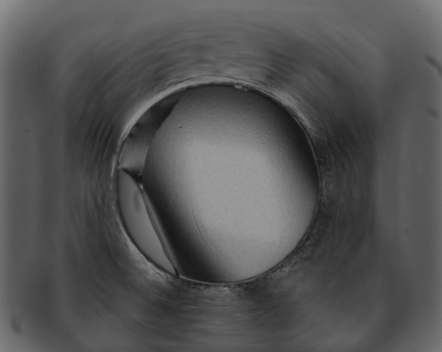 X0000093111524200710171212