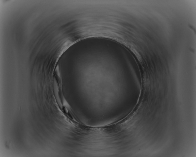 X0000093111529200710171212