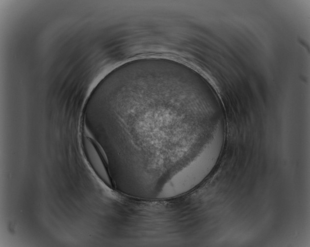 X0000093111533200710171212