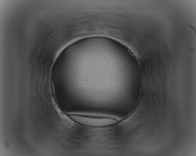 X0000093111534200710171212