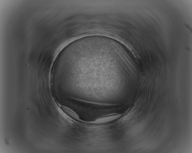 X0000093111535200710171212