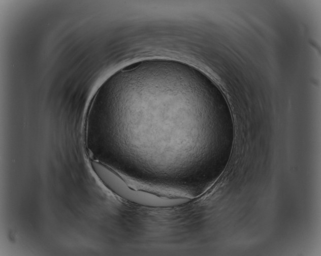 X0000093111536200710171212