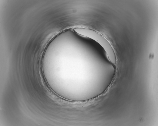 X0000093110001200710241251