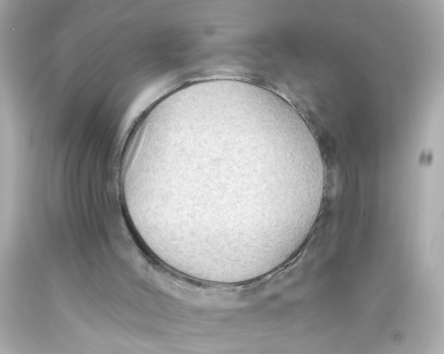 X0000093110004200710241251