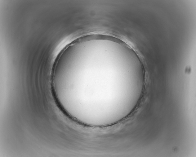 X0000093110007200710241251