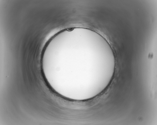 X0000093110008200710241251