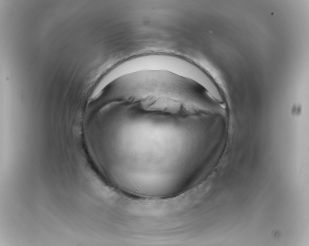 X0000093110009200710241251