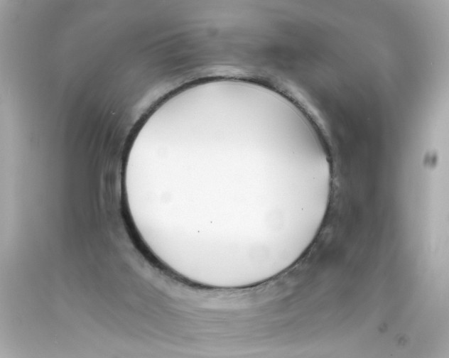 X0000093110011200710241251