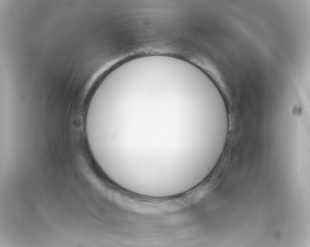 X0000093110012200710241251