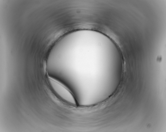 X0000093110013200710241251