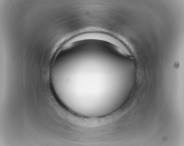 X0000093110015200710241251