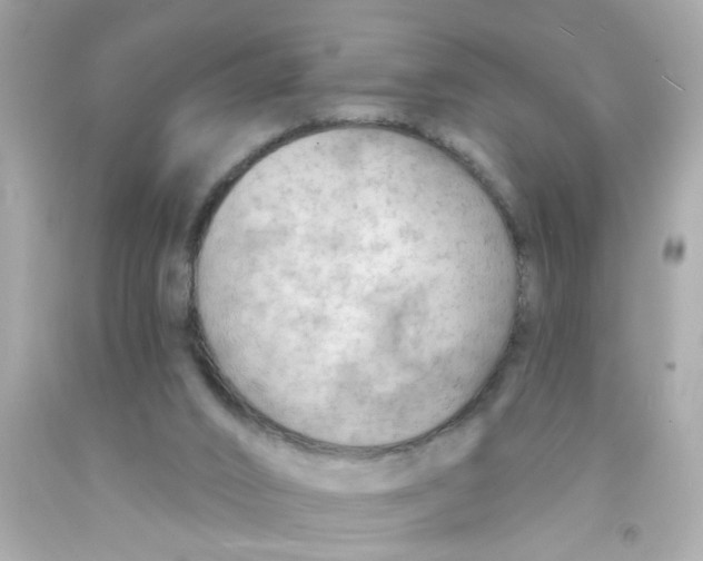 X0000093110016200710241251