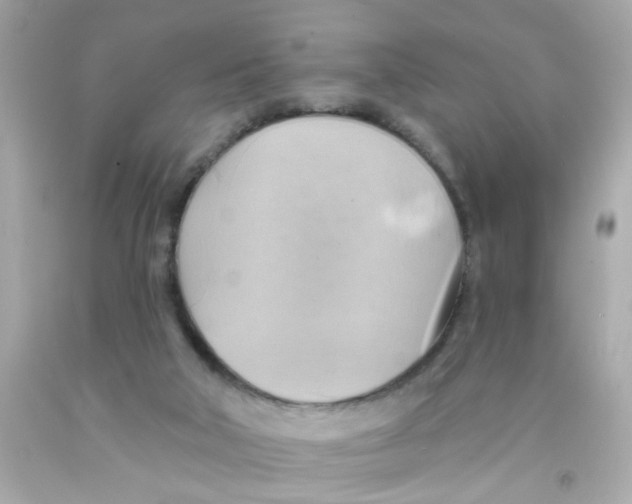 X0000093110018200710241251