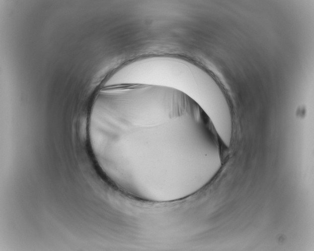 X0000093110019200710241251