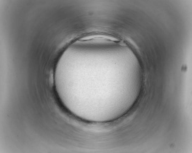 X0000093110020200710241251