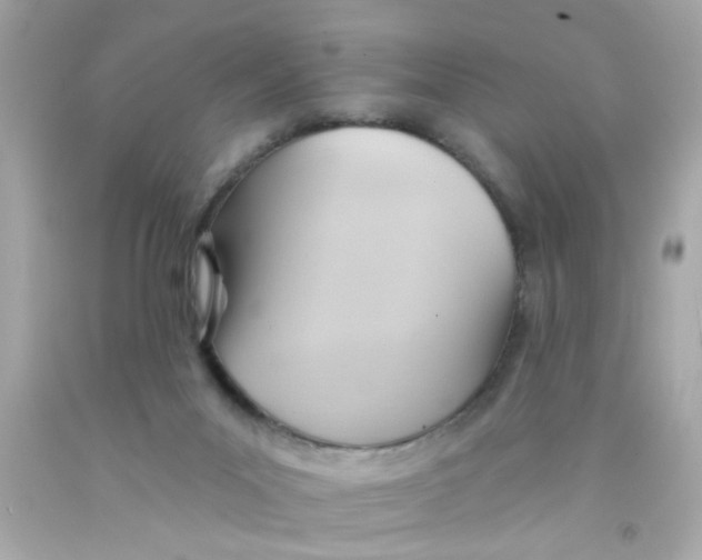 X0000093110023200710241251