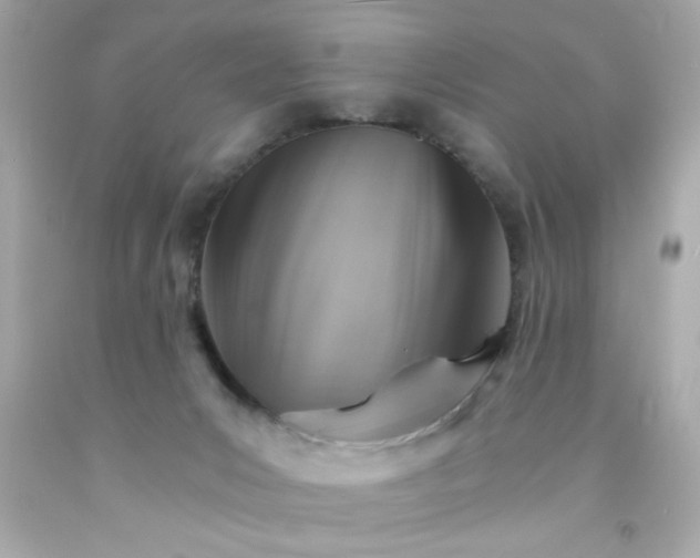 X0000093110031200710241251