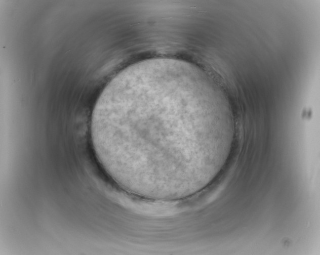 X0000093110032200710241251