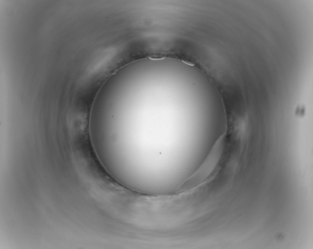 X0000093110033200710241251