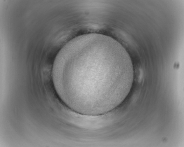 X0000093110034200710241251