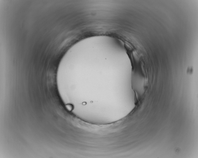 X0000093110035200710241251