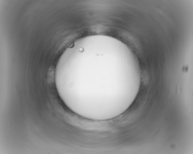 X0000093110036200710241251