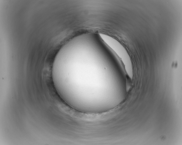 X0000093110037200710241251