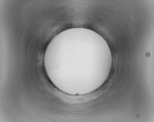 X0000093110038200710241251