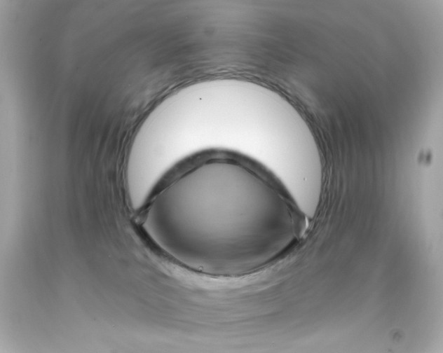 X0000093110039200710241251