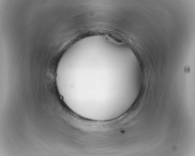 X0000093110040200710241251