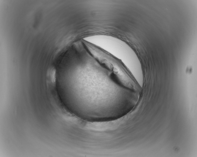 X0000093110041200710241251