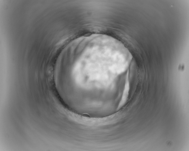 X0000093110043200710241251