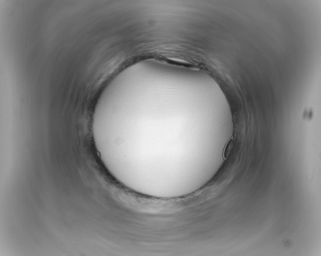 X0000093110044200710241251