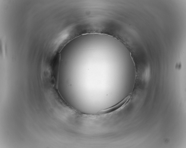 X0000093110045200710241251