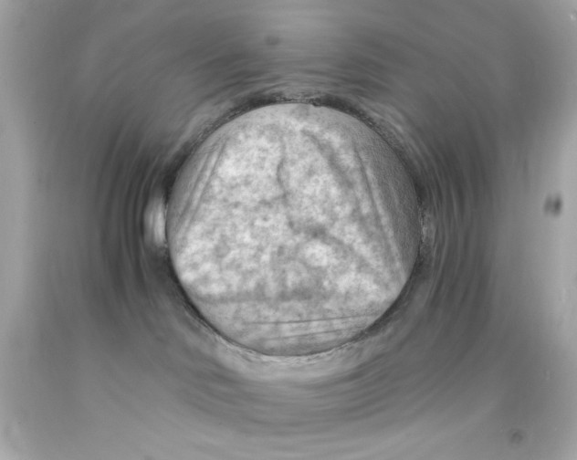 X0000093110046200710241251