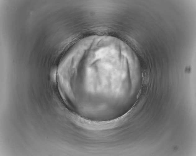 X0000093110047200710241251