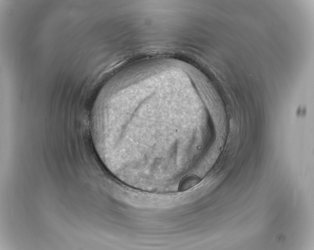 X0000093110048200710241251