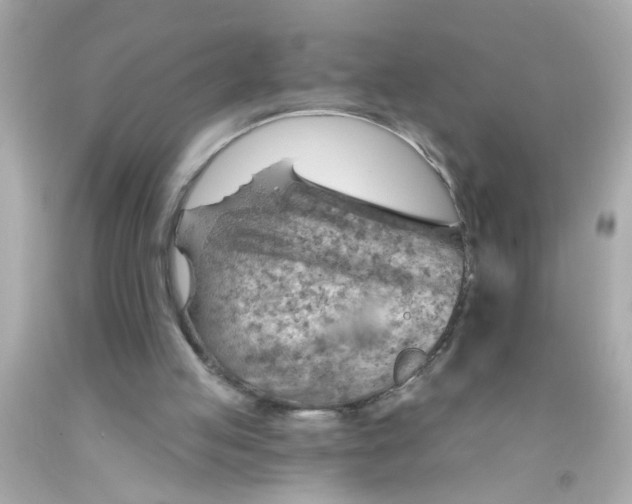 X0000093110053200710241250