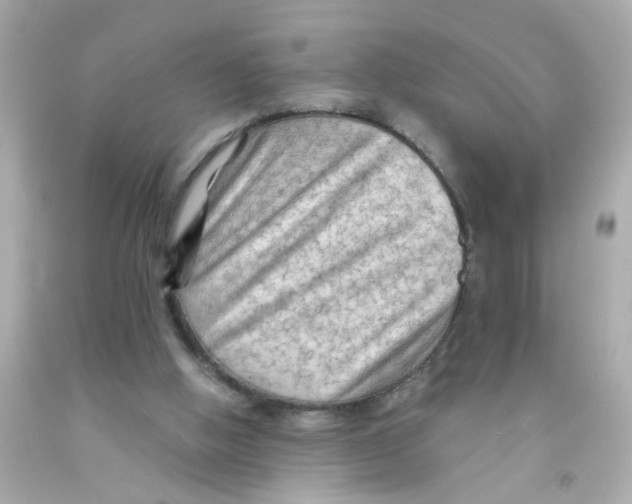 X0000093110058200710241250