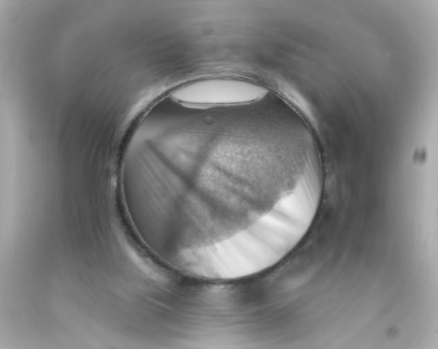 X0000093110059200710241250