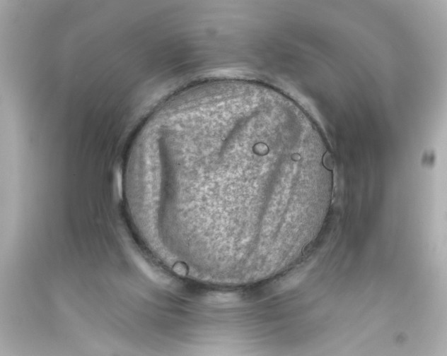 X0000093110061200710241250