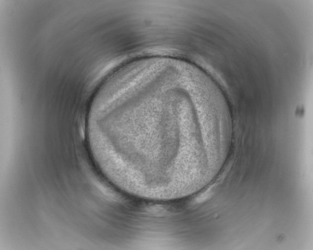 X0000093110062200710241250