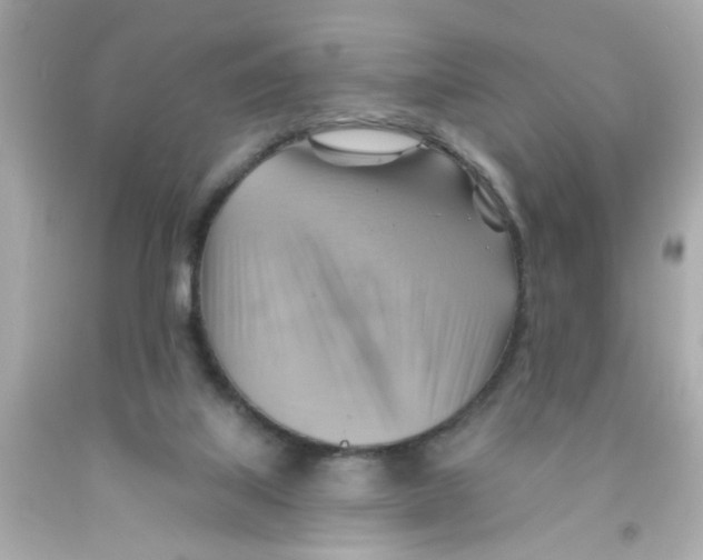 X0000093110067200710241250