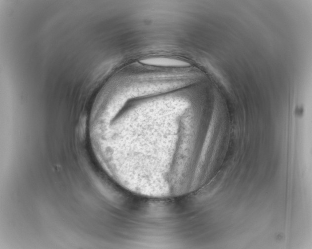 X0000093110070200710241250